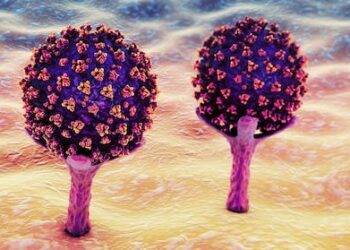 Omicron BQ.1 and BQ.1.1 – an expert answers three key questions about these new COVID variants