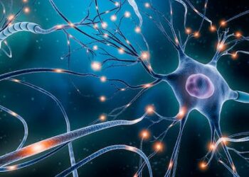 Epilepsy: gene therapy technique targeting overactive brain cells shows promise in treating drug-resistant form of the condition