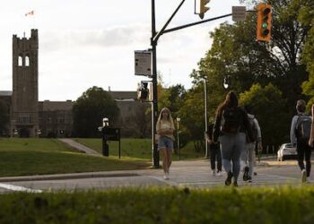 How accessibility for disabled university students can benefit all students