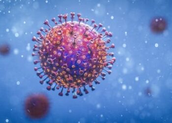 XBB and BQ.1: what we know about these two omicron ‘cousins’