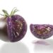 The story of the purple tomato — and why its success is a win for GM foods