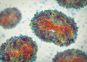 Monkeypox: latest data reveals how the virus has affected women and non-binary people