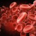Lab-grown blood used in transfusion for first time – here are three other ways that making organs could change healthcare