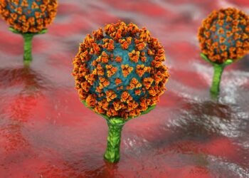 COVID: what we know about new omicron variant BF.7