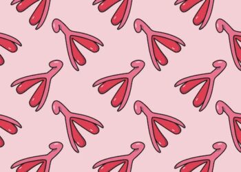 The clitoris – a brief history