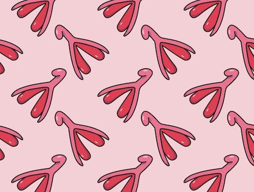 The clitoris – a brief history