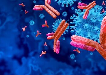 Even bivalent updated COVID-19 boosters struggle to prevent omicron subvariant transmission – an immunologist discusses why new approaches are necessary