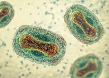 COVID, bird flu, mpox – a virologist on why we’re seeing so many viruses emerge