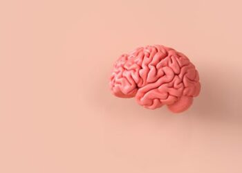 Brain training probably doesn’t help ADHD – new study