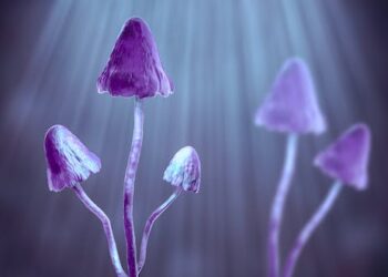 Psychedelics may better treat depression and anxiety symptoms than prescription antidepressants for patients with advanced cancer