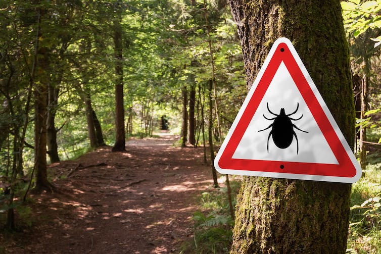 A warning sign indicating on a forest path.