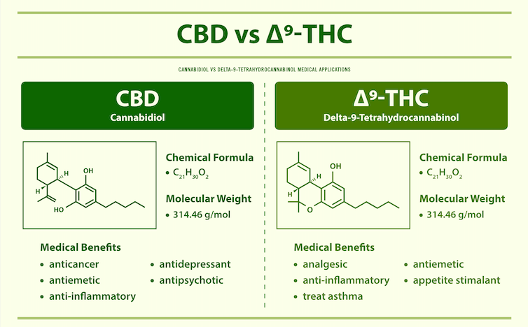 Illustration of the chemical formula and structural composition of CBD versus delta9 THC.