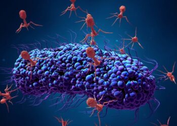 Thousands of unknown viruses discovered in baby poo – why this is not necessarily a bad thing