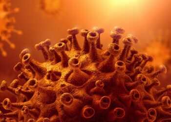 Arcturus: what to know about the new COVID variant, omicron XBB.1.16