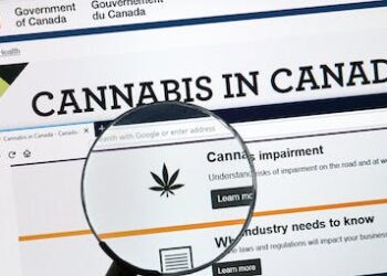 Cannabis can have serious health effects that Canadians may not be aware of, like nonstop vomiting and heart issues