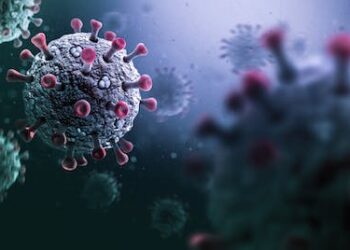 Pivotal points in the COVID-19 pandemic – 5 essential reads