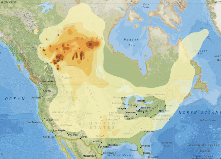 A map of North America shows where wildfire smoke from fires in Alberta, Canada, was forecast to blow across the U.S. and eastern Canada. Light smoke reaches as far south as northern Texas and Tennessee.