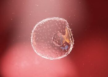 Scientists have created embryos from stem cells – it could help us better understand infertility and miscarriage