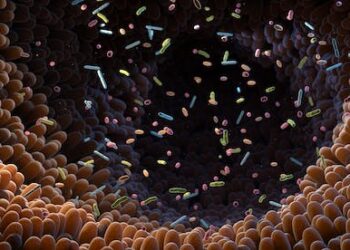 The bacteria and microbes in your gut can affect your body and mental health – engineering them promises new forms of treatment. Podcast