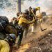 Yellow jerseys of the fireline: A day fighting wildfires can require as much endurance as riding the Tour de France