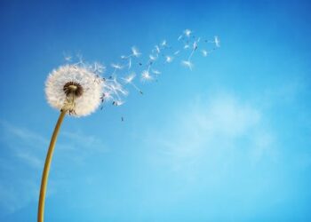 New Alzheimer’s drugs don’t deserve the hype – here’s why