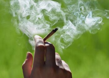 Many people think cannabis smoke is harmless − a physician explains how that belief can put people at risk