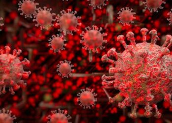 How evasive and transmissible is the newest omicron offshoot, BA.2.86, that causes COVID-19? 4 questions answered