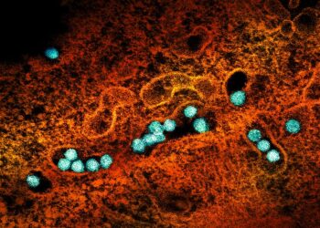 What Canadians need to know about West Nile virus, a mosquito-borne infection that can be life-threatening