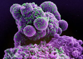 Fall COVID-19 update: Will there be a new surge? Who should get the new mRNA vaccines? Are they safe and effective?