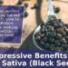 The Impressive Benefits of Nigella Sativa (Black Seed Oil)