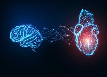 Repeated concussions can alter heart activity and impact the ‘heart-brain’ axis