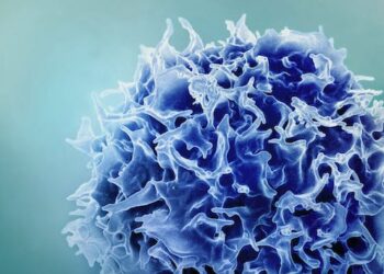 Immune health is all about balance – an immunologist explains why both too strong and too weak an immune response can lead to illness