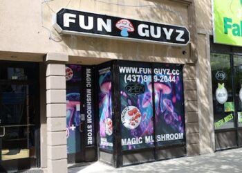 Raids on magic mushroom dispensaries are a knee-jerk reaction, but taking a blind-eye approach only allows the market to run wild