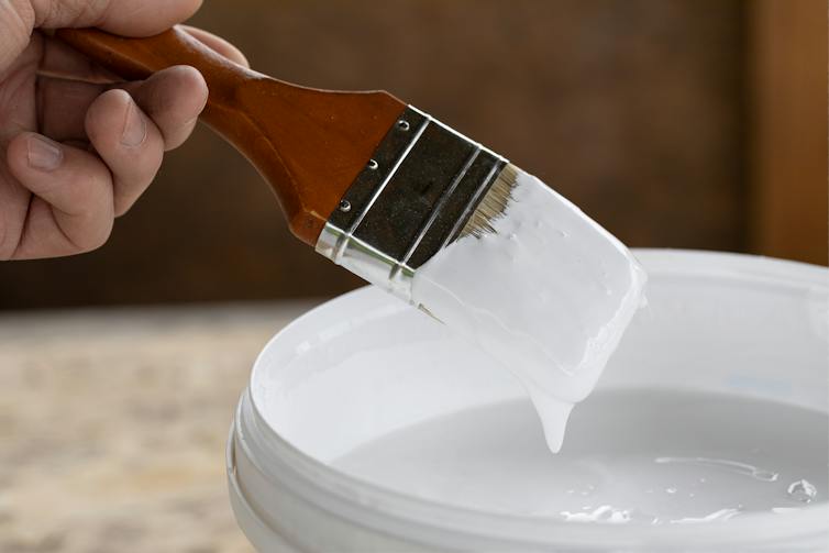 A person dips a paintbrush in white paint.
