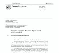 Text of UN resolution 51/3