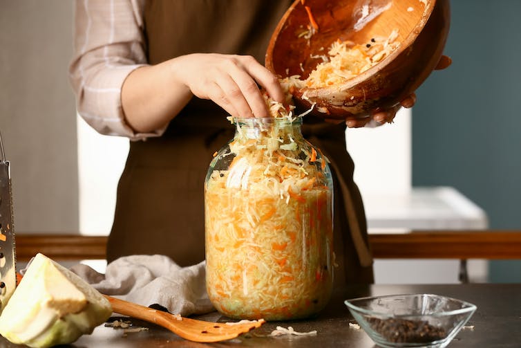 A person prepares a large jar of sauerkraut for fermentation.
