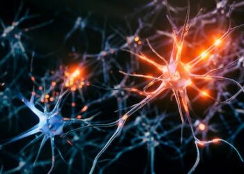 Recognizing when someone is having a seizure – and how you can help during those first critical moments