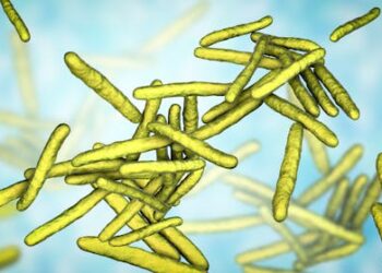 Leprosy cases are rising in the US – what is the ancient disease and why is it spreading now?