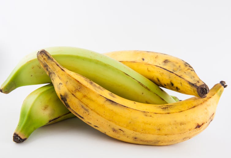 Two ripe and two unripe plantains or bananas.