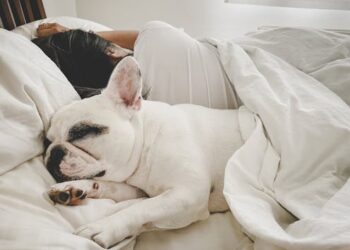 Could sharing a bedroom with your pets be keeping you from getting a good night’s sleep?