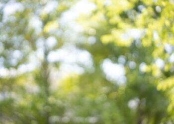 Nearsightedness is at epidemic levels – and the problem begins in childhood