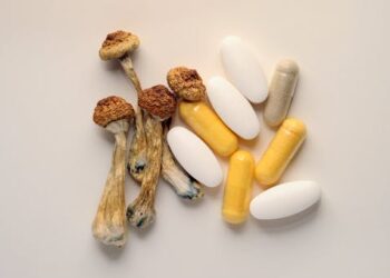 How corporate involvement in psychedelic research could threaten public safety