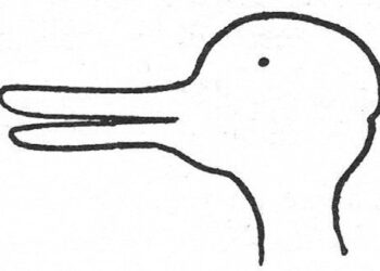 A dangerous diagnosis: How ‘excited delirium’ shapes police perception