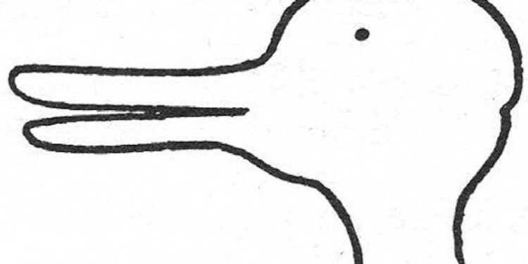 A dangerous diagnosis: How ‘excited delirium’ shapes police perception