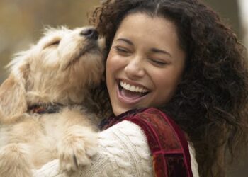 Pets give companionship, cuddles and joy – and also unavoidable stresses
