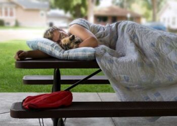 How ‘One Health’ clinics support unhoused people and their pets