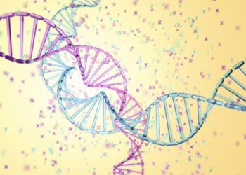 Genetic testing cannot reveal the gender of your baby − two genetic counselors explain the complexities of sex and gender