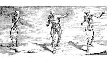 New language guidelines for anatomy aim to improve clarity, but they could reduce understanding instead