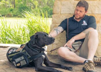 Service dogs can reduce the severity of PTSD for veterans – new research