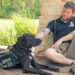 Service dogs can reduce the severity of PTSD for veterans – new research